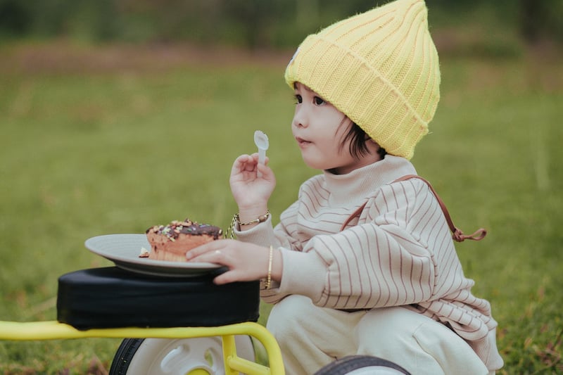 Picnic Options